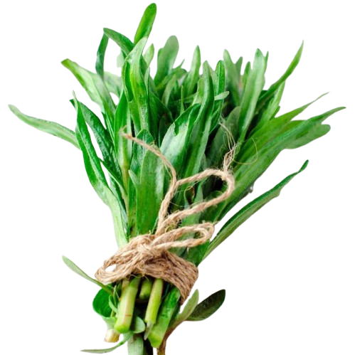 Tarragon