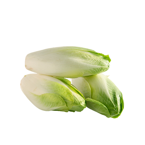 Endive Belgianc (California)