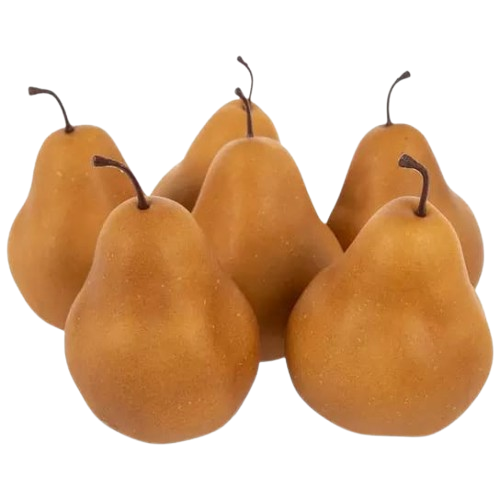 Bosc Pears