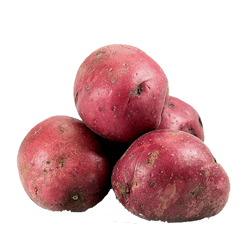Potato Red B