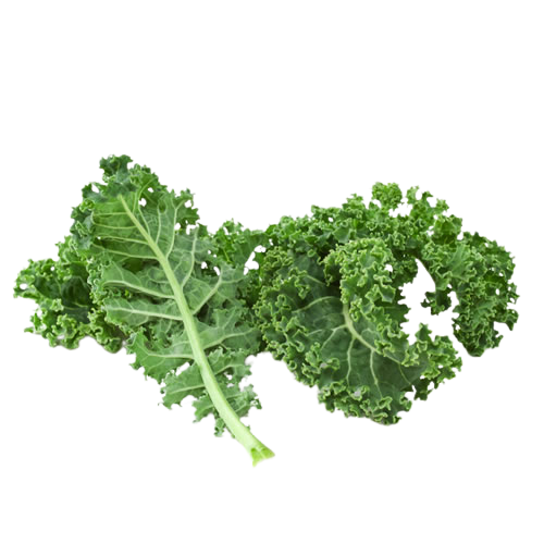 Fresh Green Kale