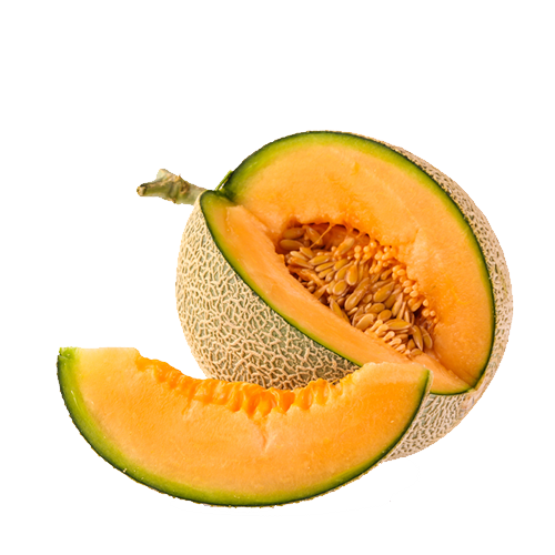 Cantaloupe