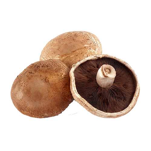 Mushroom Portabello