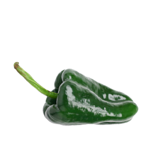 Chile Poblano
