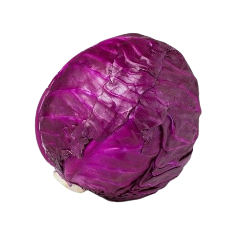 Red Cabbage