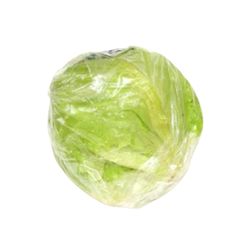 Iceberg Lettuce