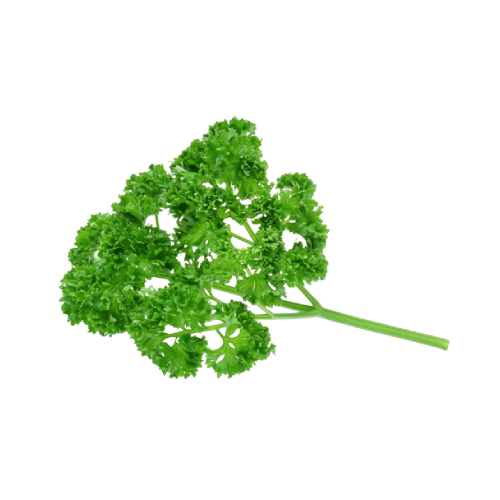 Curly Parsley