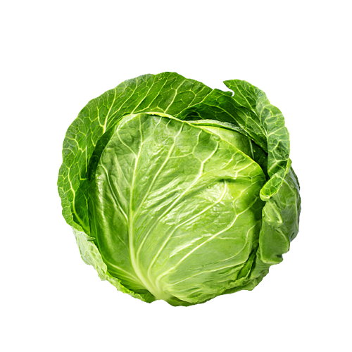 Green Cabbage
