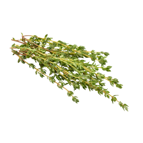 Thyme