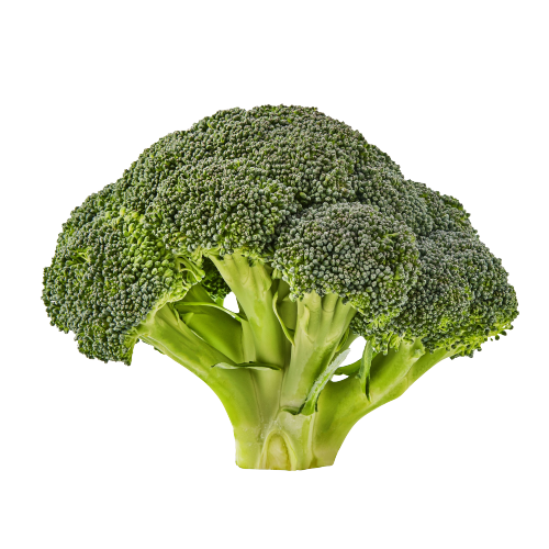 Dragon Wealth Premium Cut Broccoli Crowns