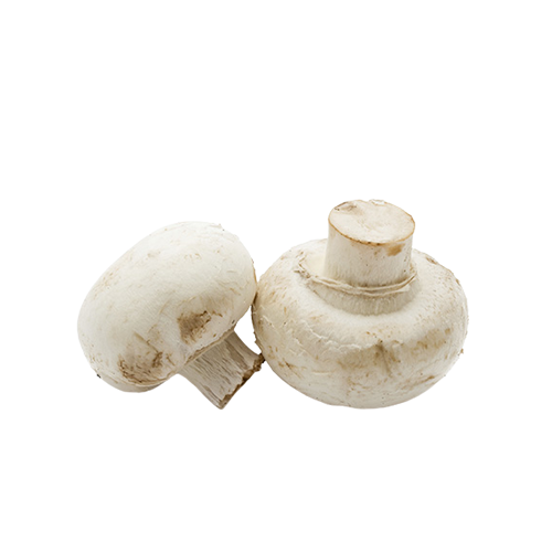 White Medium Mushrooms