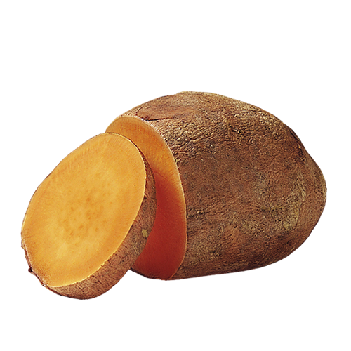 Jumbo Garnet Yams