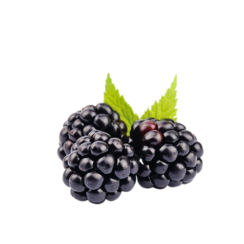 Blackberry