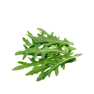 Arugula - Baby