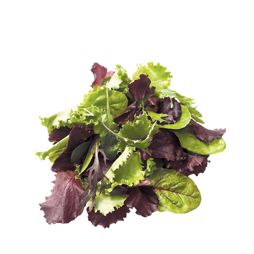 Mesclun/Spring Mix