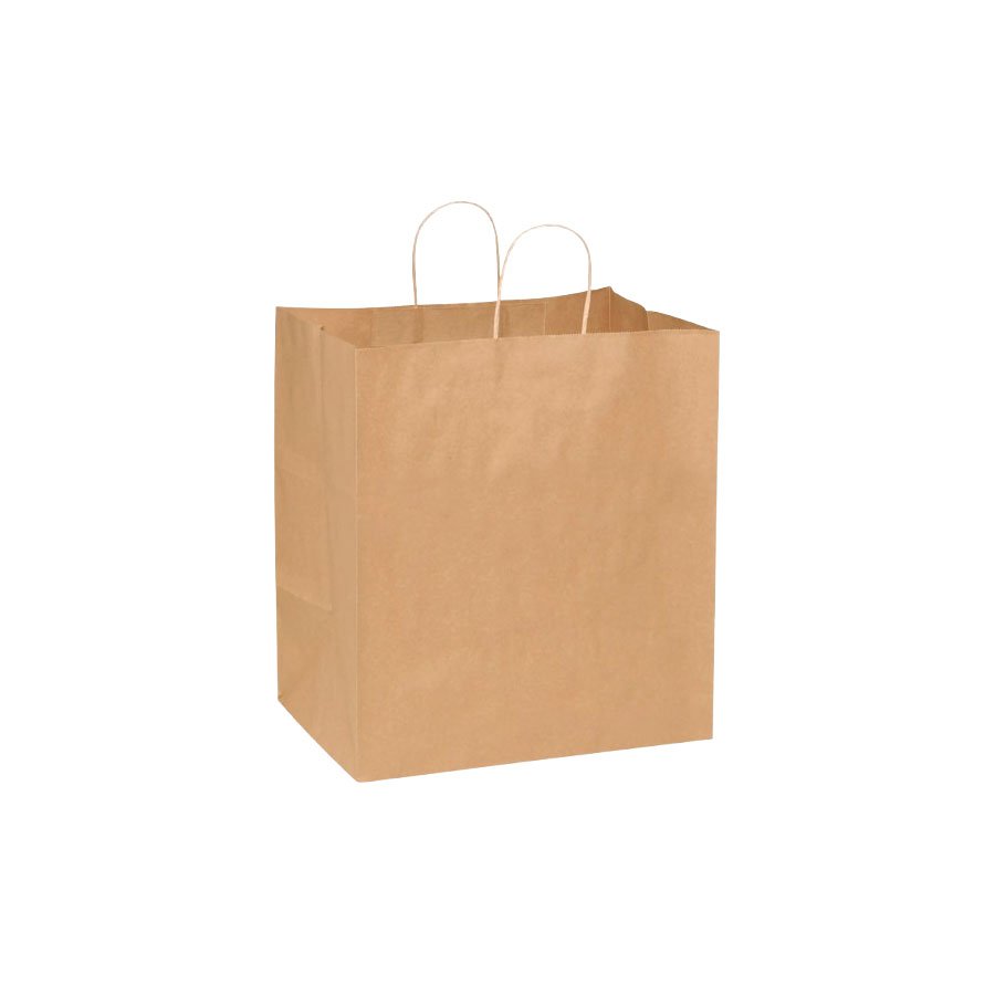 KRAFT PAPER BAG WITH TWIST HANDLE