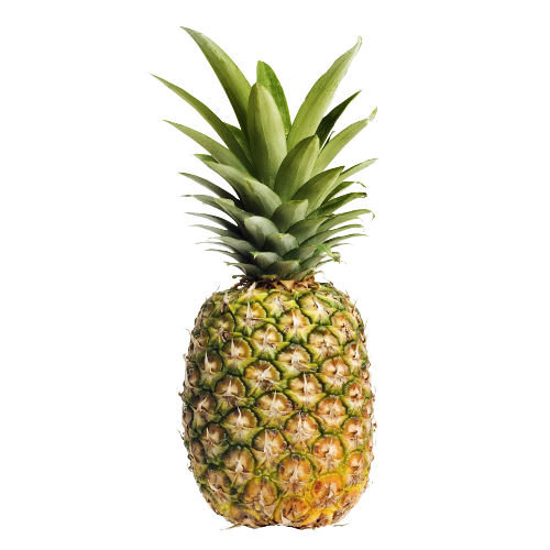 Pineapple large
