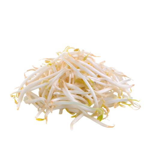 Bean Sprouts