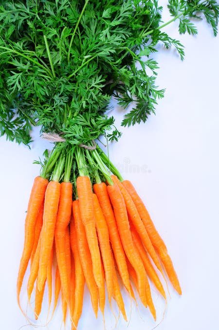 Carrot Stem Bunch