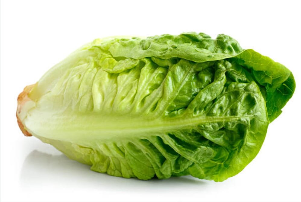 Lettuce Little Gem Green T&A
