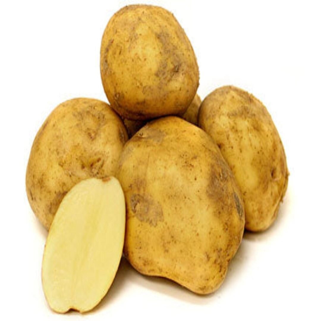Potato Kennebec