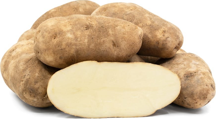 Potato Russet