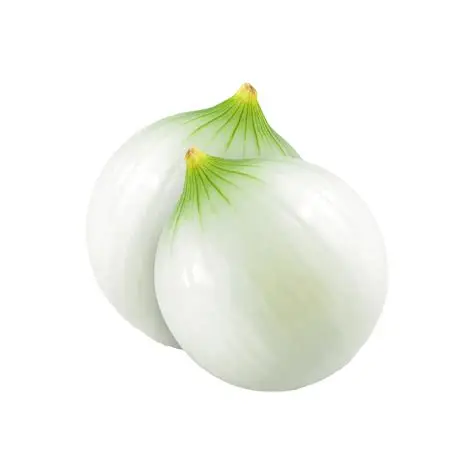 White Onion