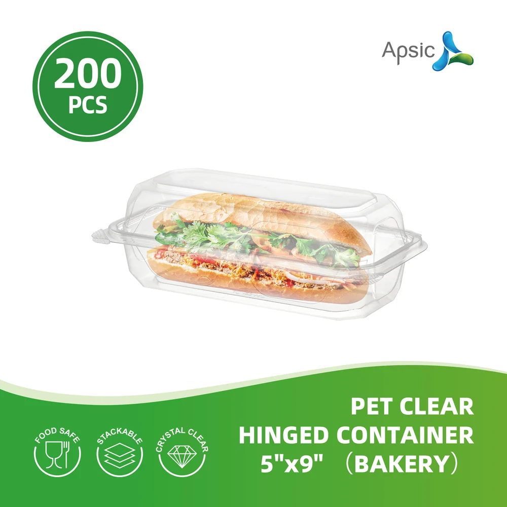 CLEAR HINGED CONTANER