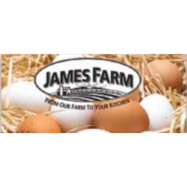 Cage Free Medium Brown Eggs AA - 15 Dz