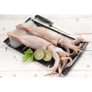 Frozen Squid/Calamari- Tubes & Tentacles - 7-10 inch, cleaned (China) - 2.5 lbs