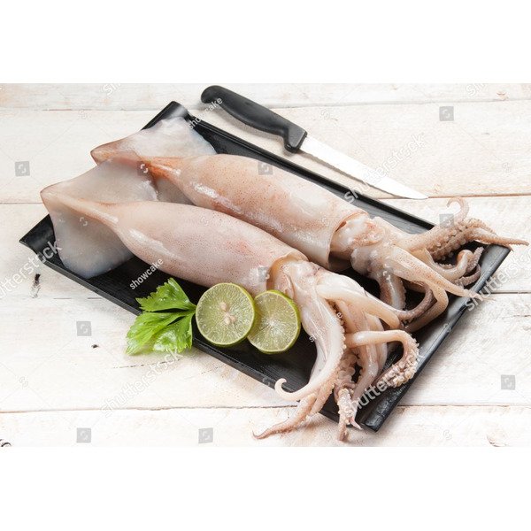 Frozen Squid/Calamari- Tubes & Tentacles - 7-10 inch, cleaned (China) - 2.5 lbs