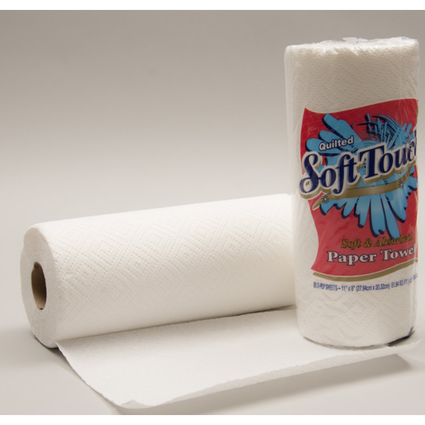 2PLY White Paper Towels 30CT