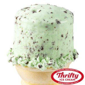 Mint Chocolate Chip Ice Cream - 3 Gal Tub